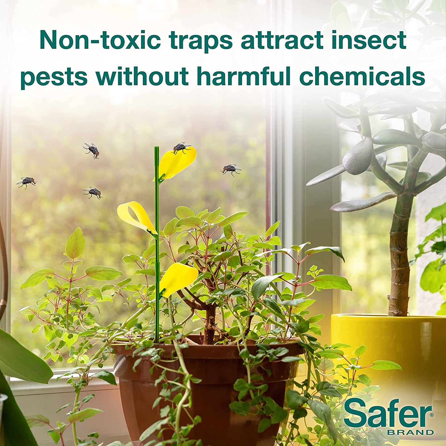 Safer's Sticky Sticks, 12-traps Gnat · Insect