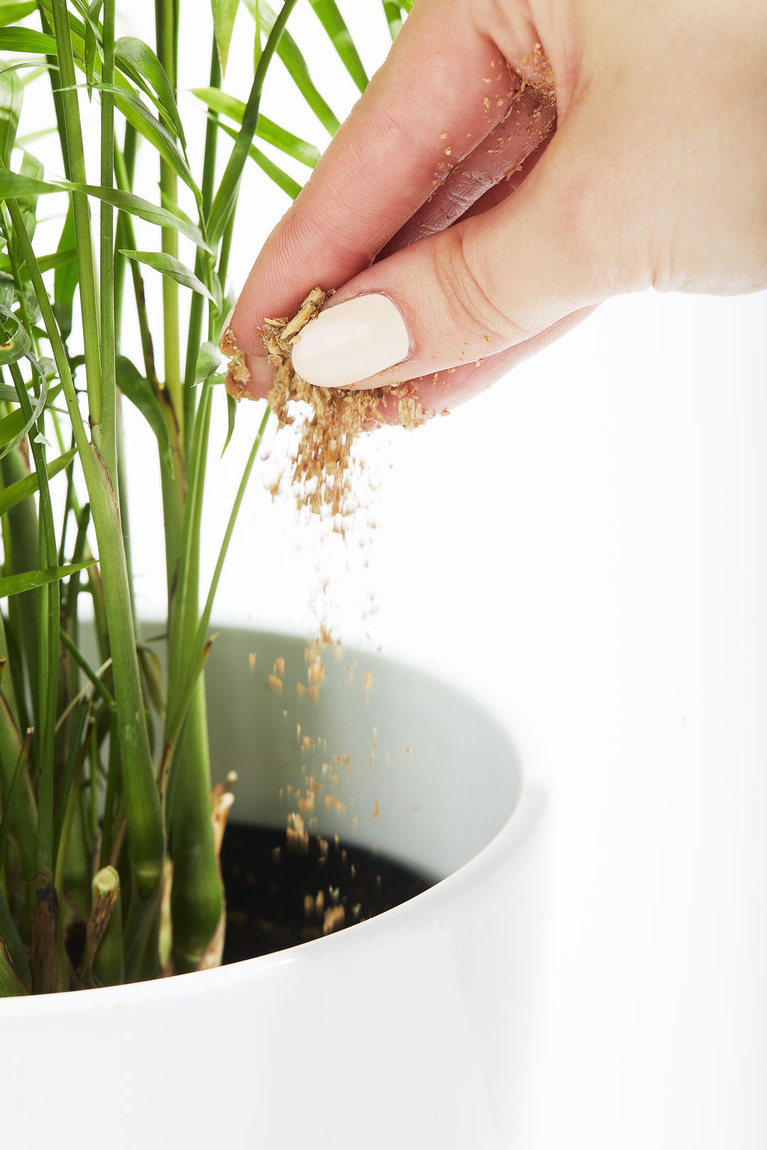 FREE Bios Fertilizer Sample Pack