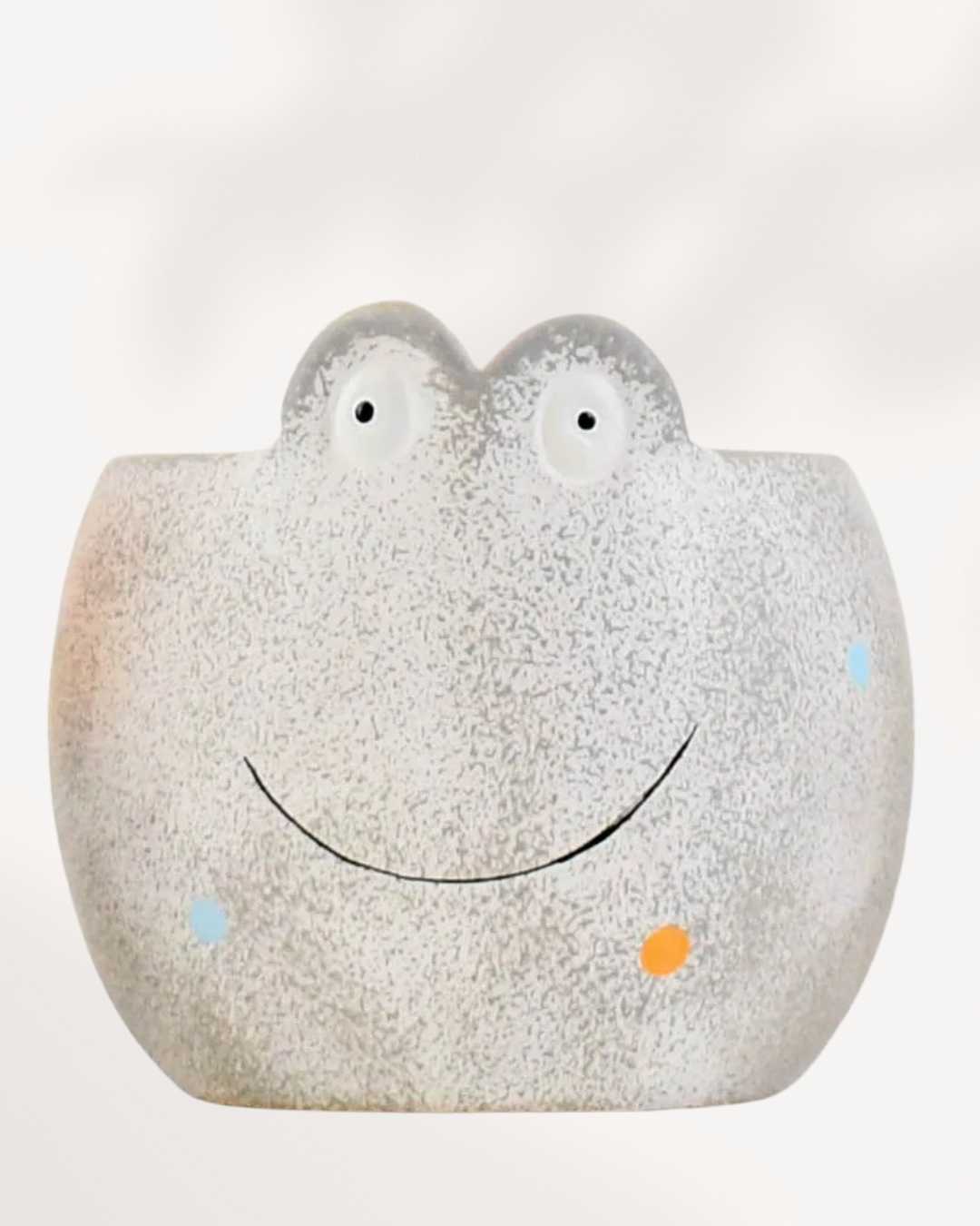 Colourful Animal Pot Frog