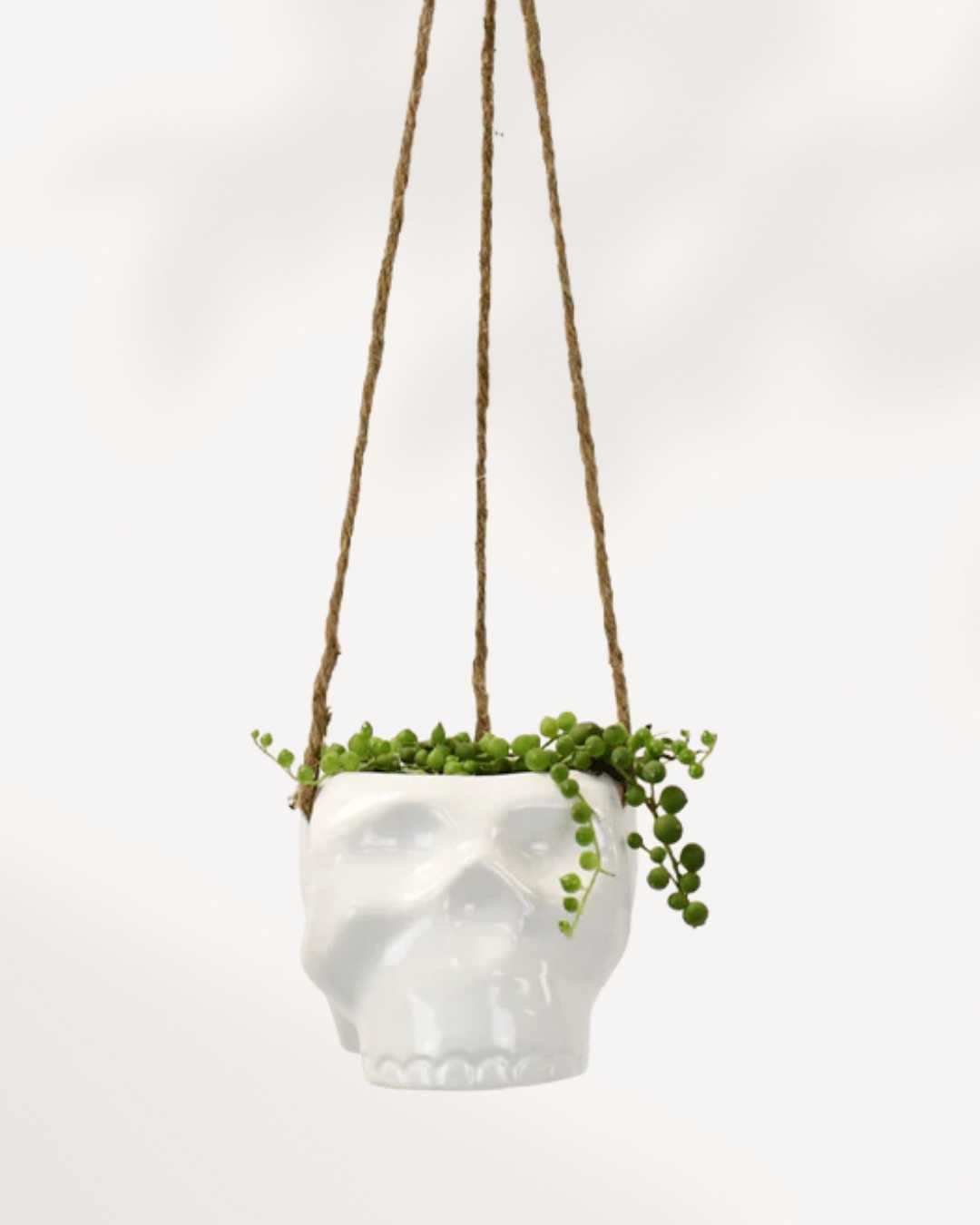 Haunted Hanging Skull Pot White