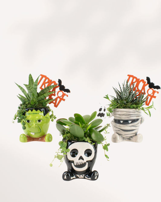 Spooky Monsters w/ Feet-Set of 3