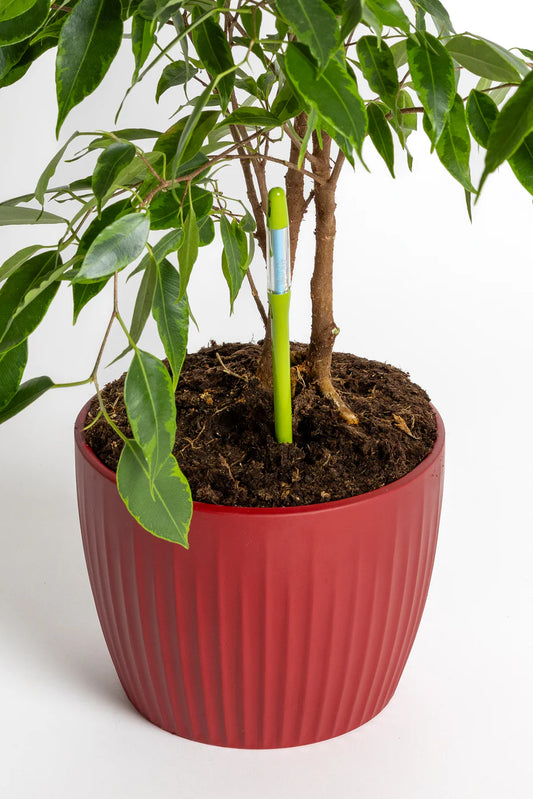 Small SUStee Soil Moisture Indicator