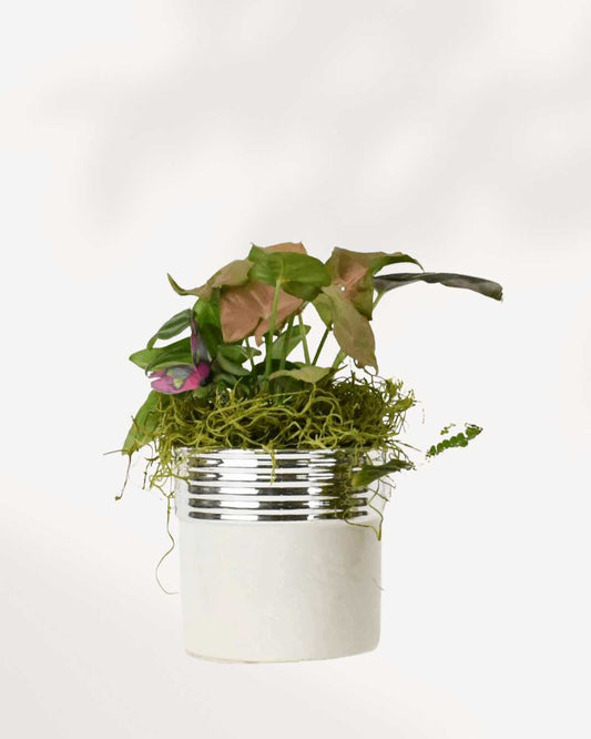 Large Bianca Tropical Arrangement