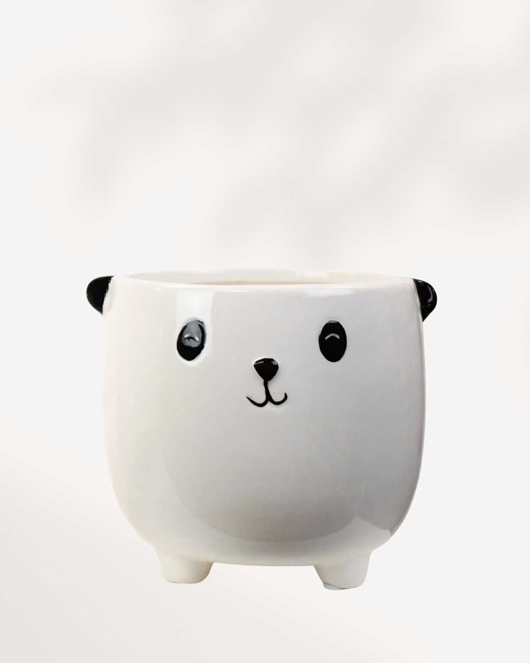 Animal Pot Collection Panda