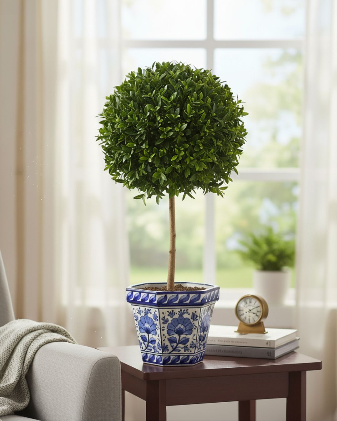 Myrtle Topiary Starter Bush Elegant evergreen topiary, pet-friendly, fragrant, perfect for tabletops, entryways, garden
