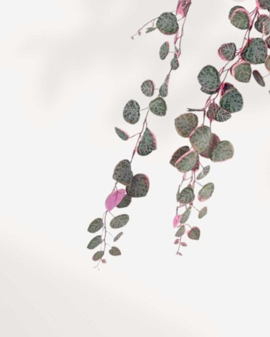 String of Hearts - Pretty Pink | Buy Online