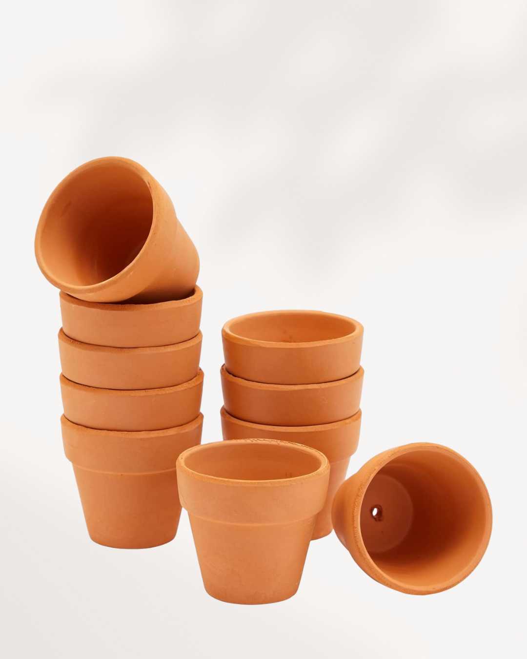 Rose Clay Terracotta Pot | Buy Online