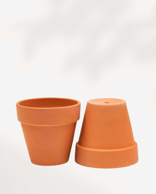 Rose Clay Terracotta Pot | Buy Online