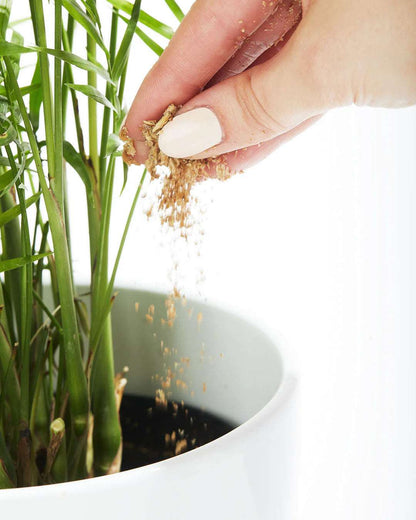 Bios Natural Plant Fertilizer | Buy Online