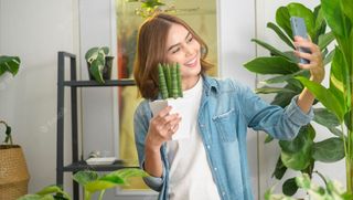 Transform Your Home with Indoor Plants