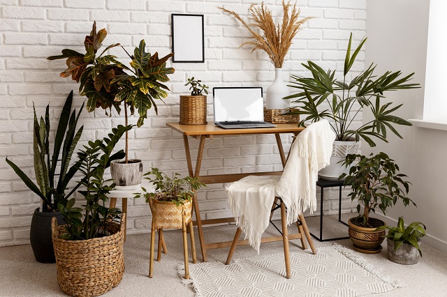 Toronto's Green Decor Revolution: Styling with Indoor Plants