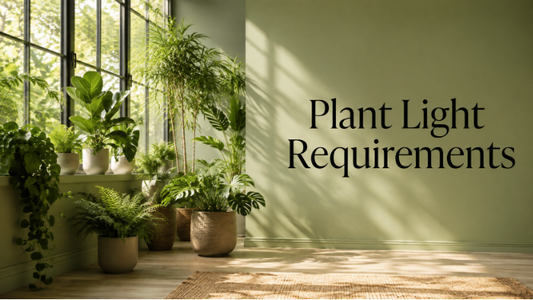 Plant Light Requirements