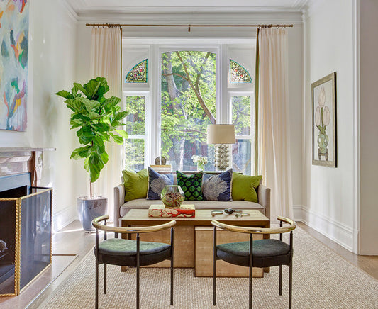 Fiddle Fig: The Ultimate Plant for Creating a Calming and Serene Home