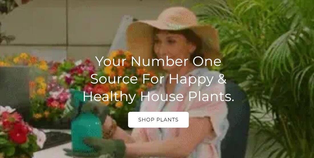 Smiling woman with house plants