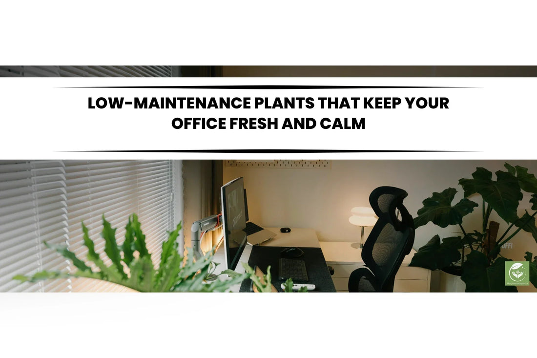 Best Plants for Office You’ll Wish You Knew Sooner + a Mini Care Guide