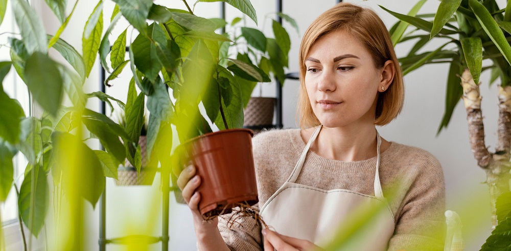 Green Thumb Guide: 5 Tips to Prep Your plants for Growing