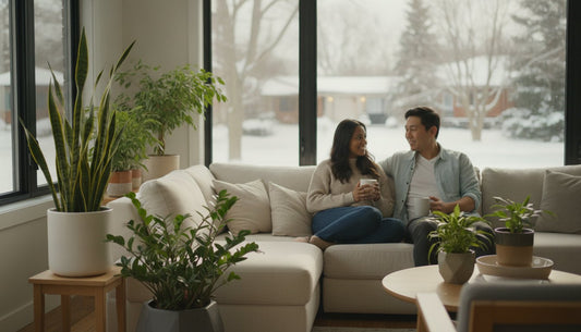 Choosing the Best Air Purifying Plants for Your Canadian Home