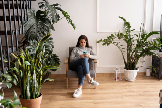 Benefits of Air Purifying Plants