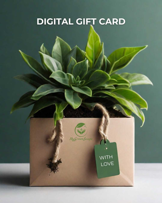 Digital Gift Card