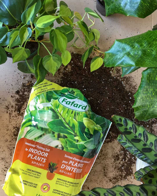 Indoor Plant Potting Mix Connaisseur®