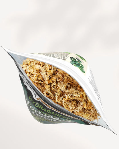 Forbidden Cereal Soilless Houseplant Potting Mix