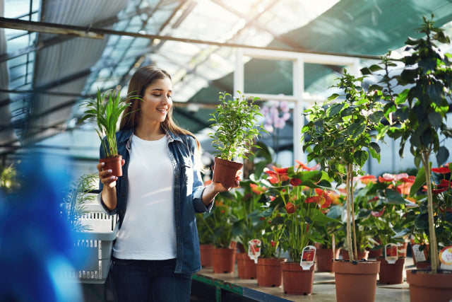 From Nursery to your Doorstep Plants Delivered Across Canada