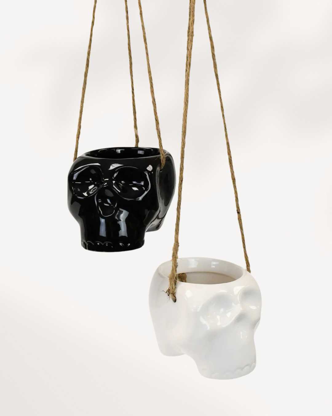 Haunted Hanging Skull Pot | Buy Online