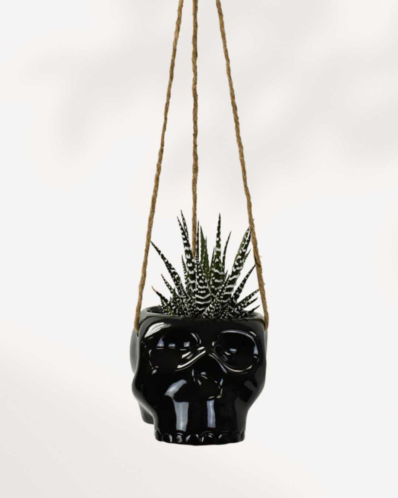 Haunted Hanging Skull Pot Black