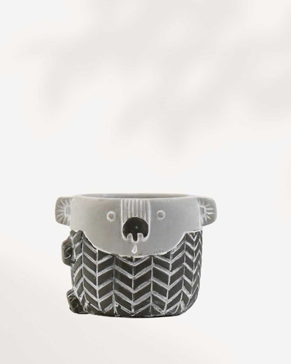 Kirra the Koala Pot | Buy Online