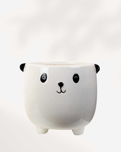 Animal Pot Collection | Buy Online