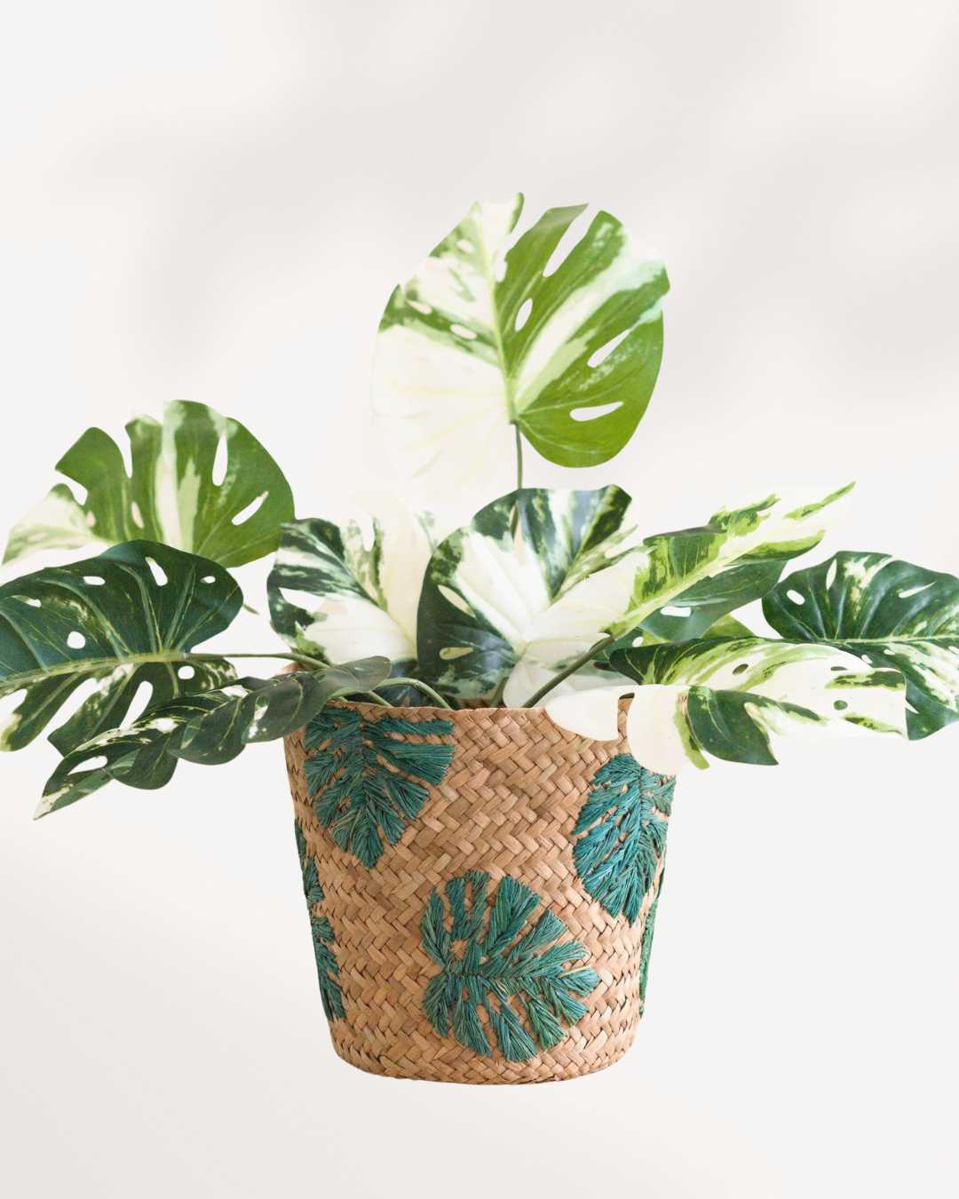 Monstera Embroidered Soft Seagrass Planter - Woven Baskets | LIKHÂ