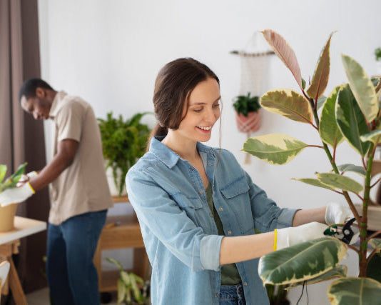 Enjoy lifetime support, expert care tips, and access to our Plant Care Library.
