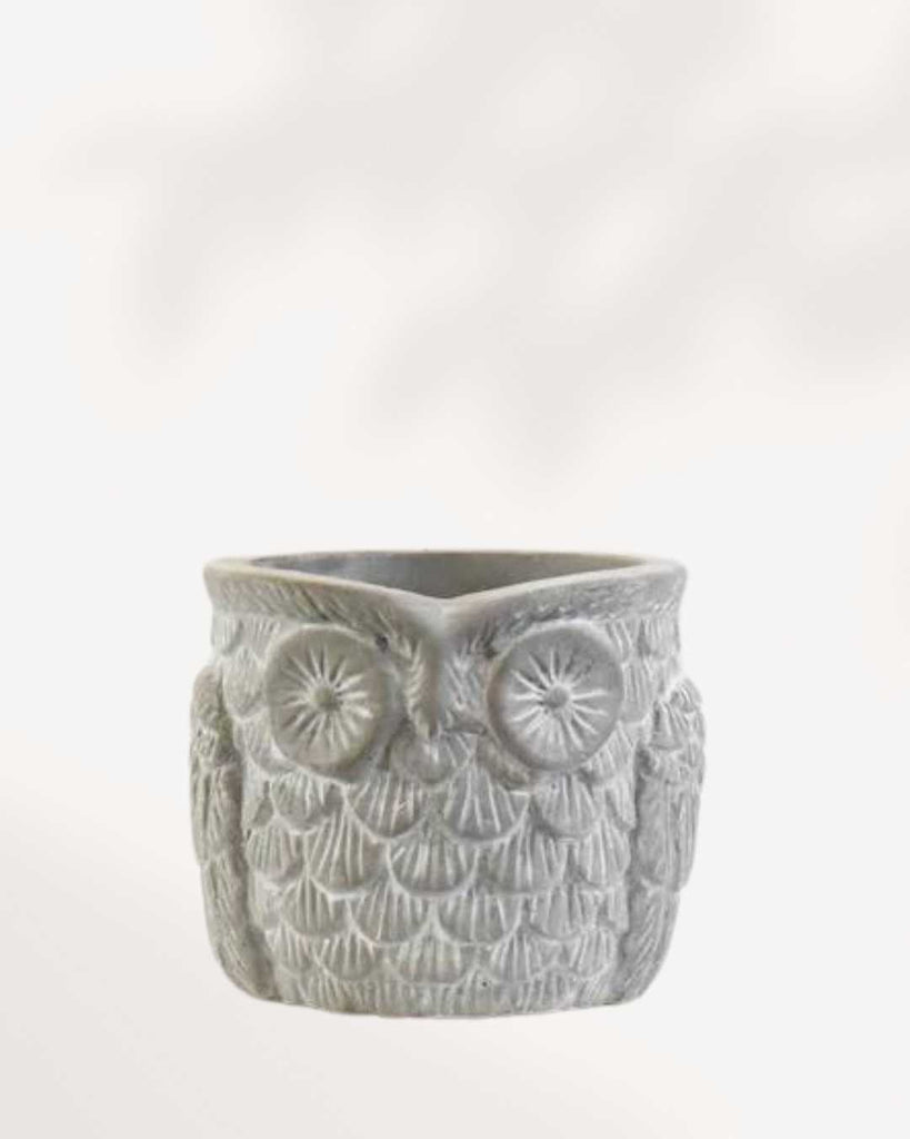 Otis the Owl Pot Small