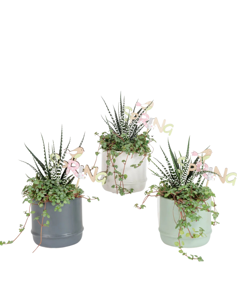 multicolumns-item-image-6