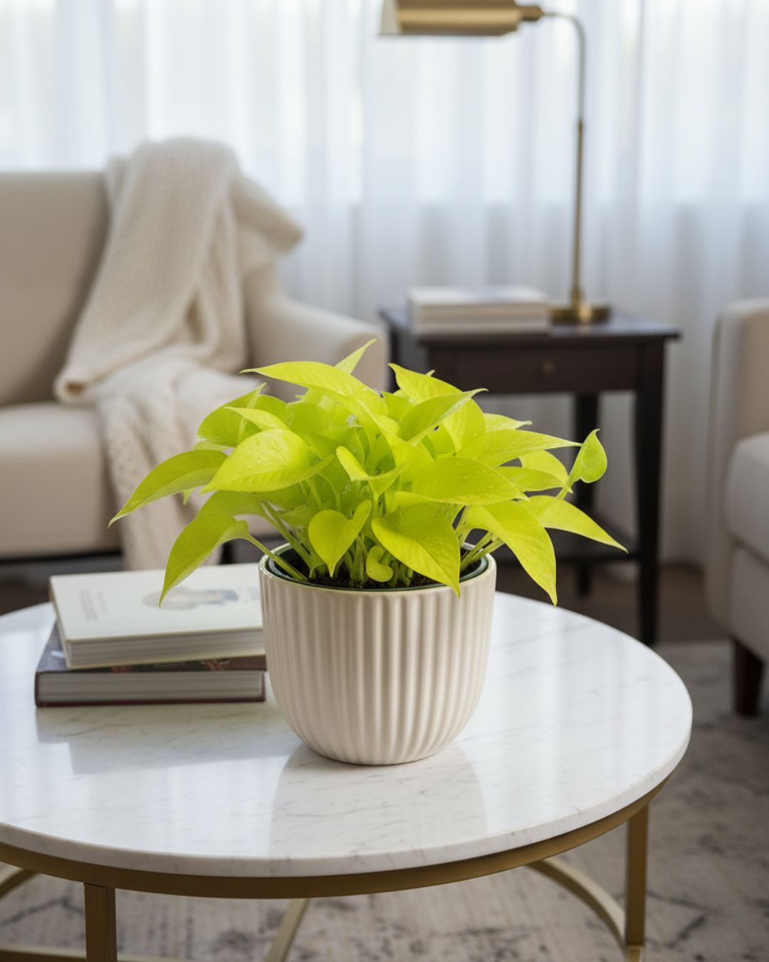 Neon Pothos trailing dramatically from a high shelf in a bright, modern living room, adding a bold splash of brilliant yellow-green color and softening the architectural lines of the space.