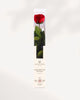 Preserved Rose