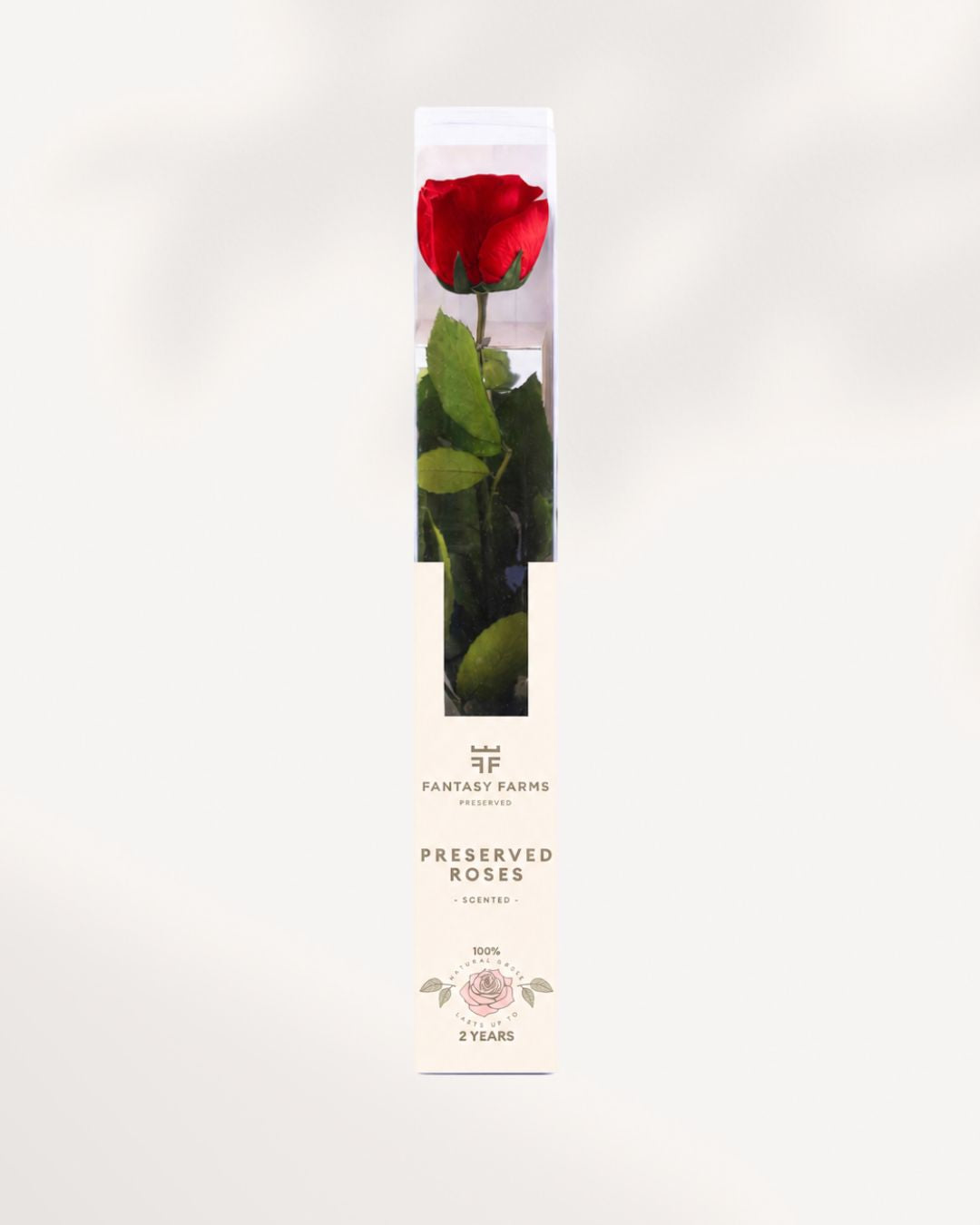 Preserved Rose