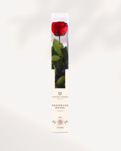 Preserved Rose