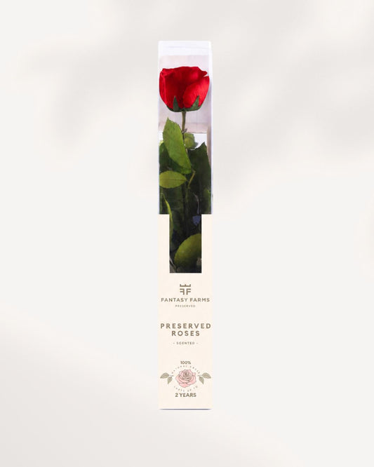 Red Preserved Rose Full Stem with Natural Velvet Petals, Luxury Long Lasting Rose Gift for Home Decor and Romantic Occasions