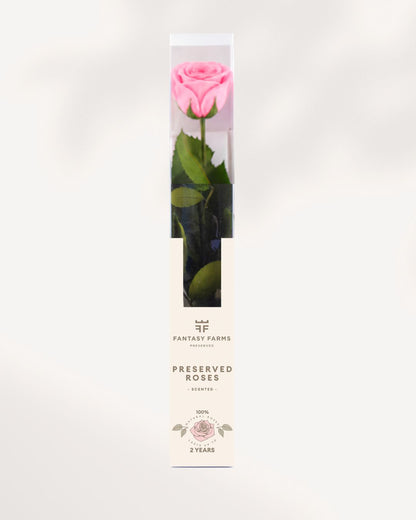 Preserved Rose