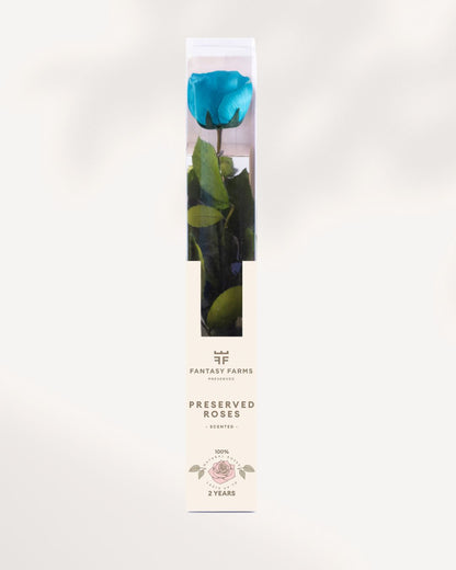 Preserved Rose