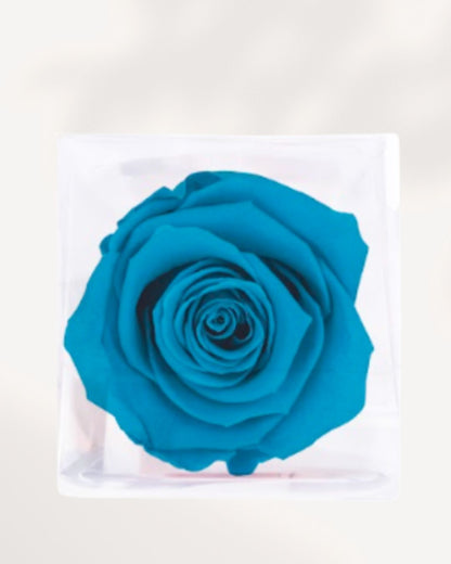 Preserved Rose