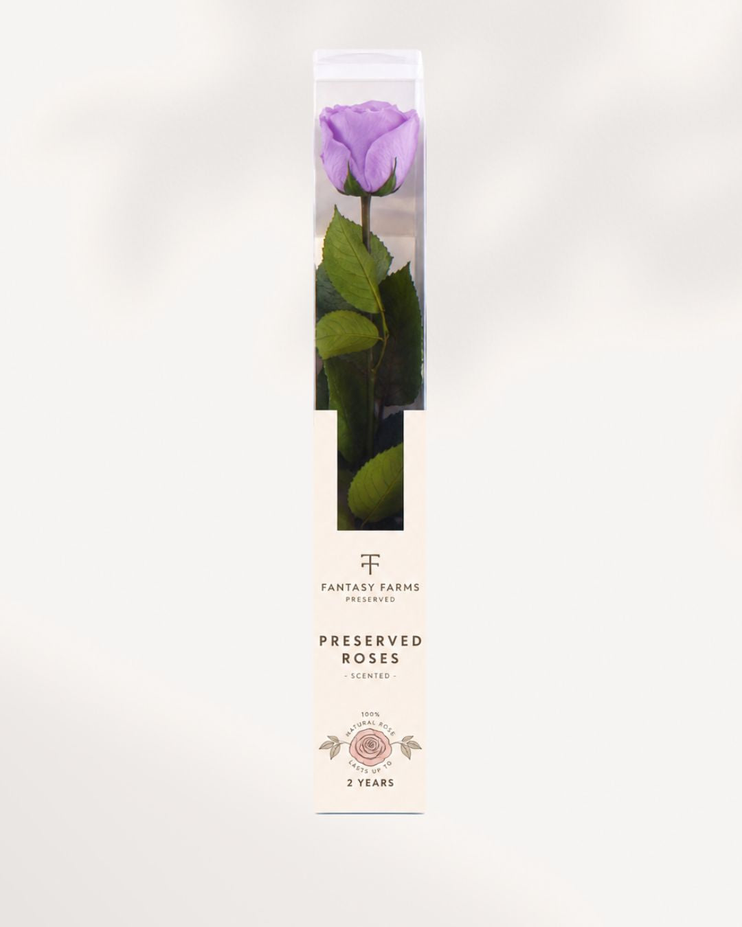 Preserved Rose