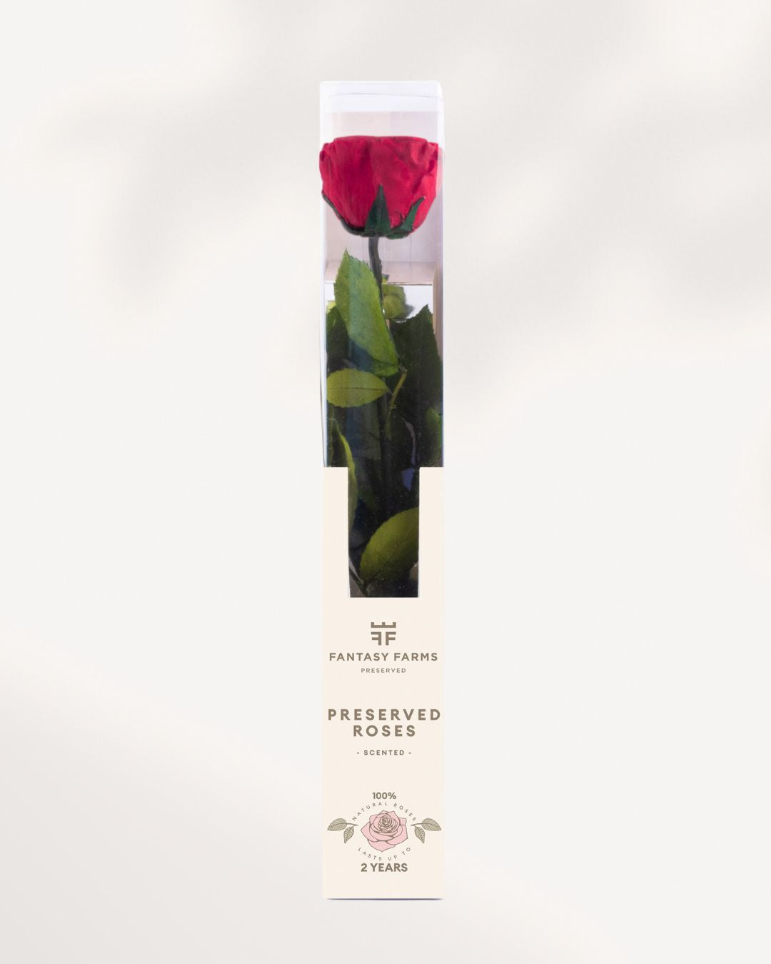 Preserved Rose