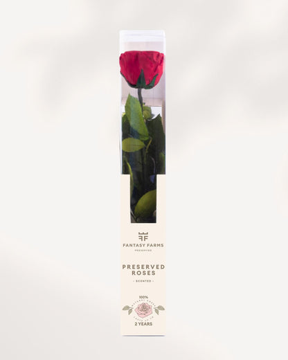 Preserved Rose