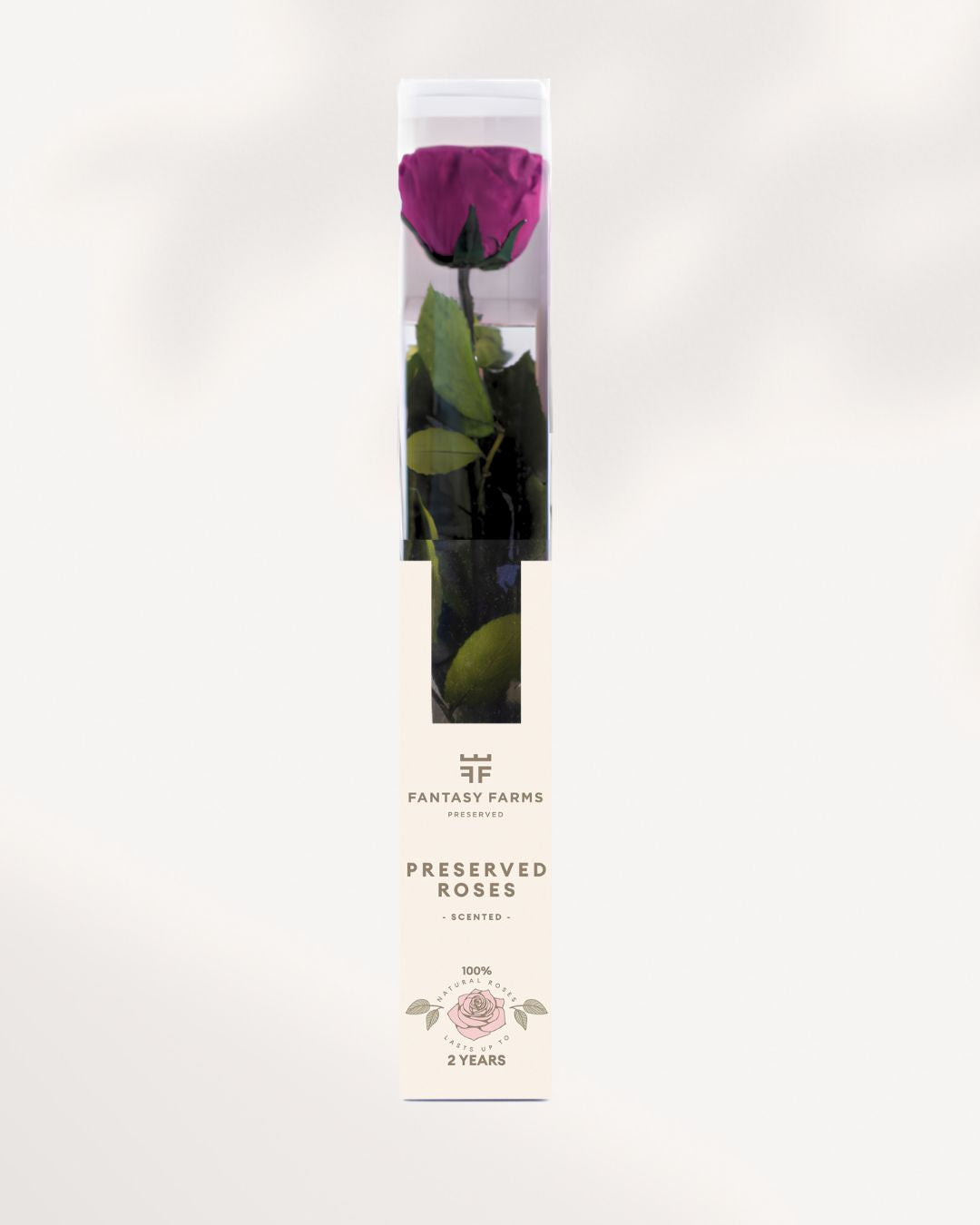 Preserved Rose