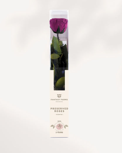 Preserved Rose