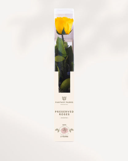 Preserved Rose