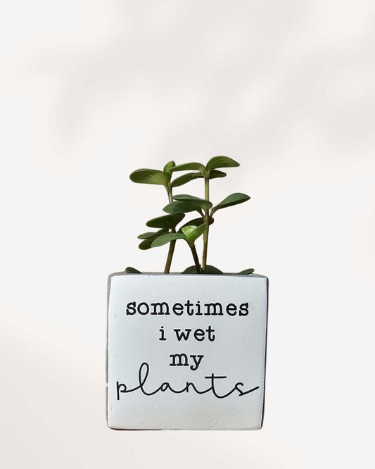 Punny Plant Pots sometimes i wet my plants