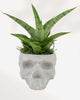 Reaper Skull Pot